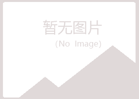 麻章区夏岚建设有限公司